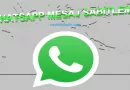 WhatsApp Mesaj Sabitleme Nasıl Yapılır?