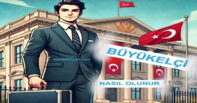 Büyükelçi Nasıl Olunur? Hangi Lisans Eğitimini Almak Gerekir?