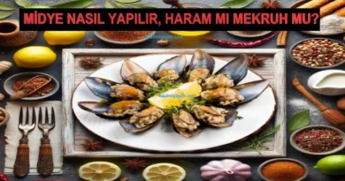 Midye Nasıl Yapılır? Midye Yemek Mekruh mu Haram mı?