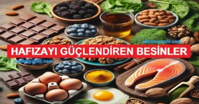 Hafızayı Güçlendiren Besinler: Beyin Sağlığınızı Destekleyin!